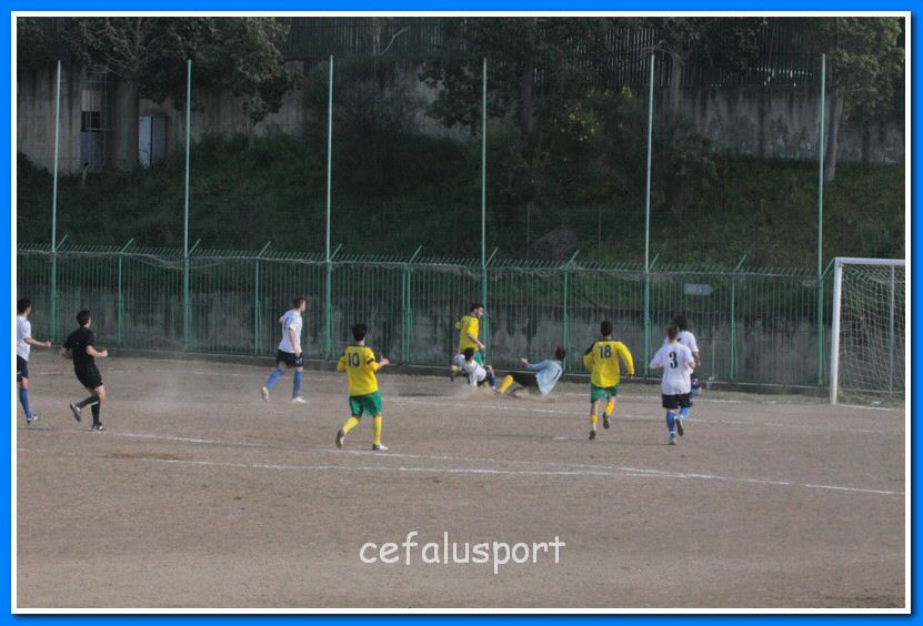 130406 delfini 123_tn.jpg